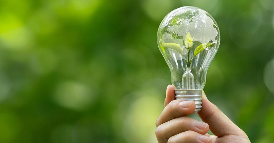 New Energy & Environmental Protection Industries